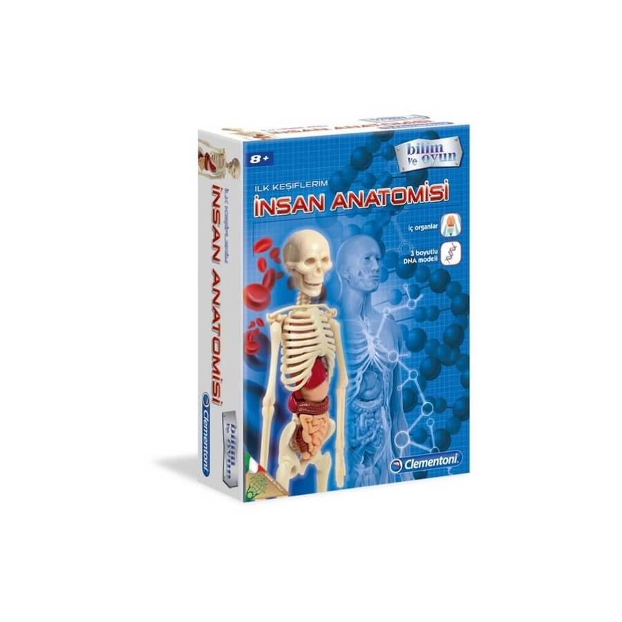 Clementoni İlk Keşiflerim İnsan Anatomisi 